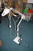Adjustable Magnifying Reading Lamp and a Desk Lamp