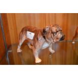 Royal Doulton Bulldog