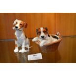 Two Royal Doulton jack Russel Terriers