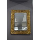 Brass Framed Beveled Edge Mirror
