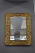 Brass Framed Beveled Edge Mirror