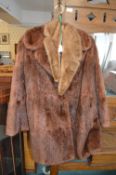 Fur Coat by S. Blank of Hull with Tippet