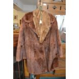 Fur Coat by S. Blank of Hull with Tippet