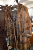 Fur Coat by Blank of Hull