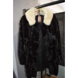 Black Fur Jacket with Contrasting Collar (repair to one armpit)