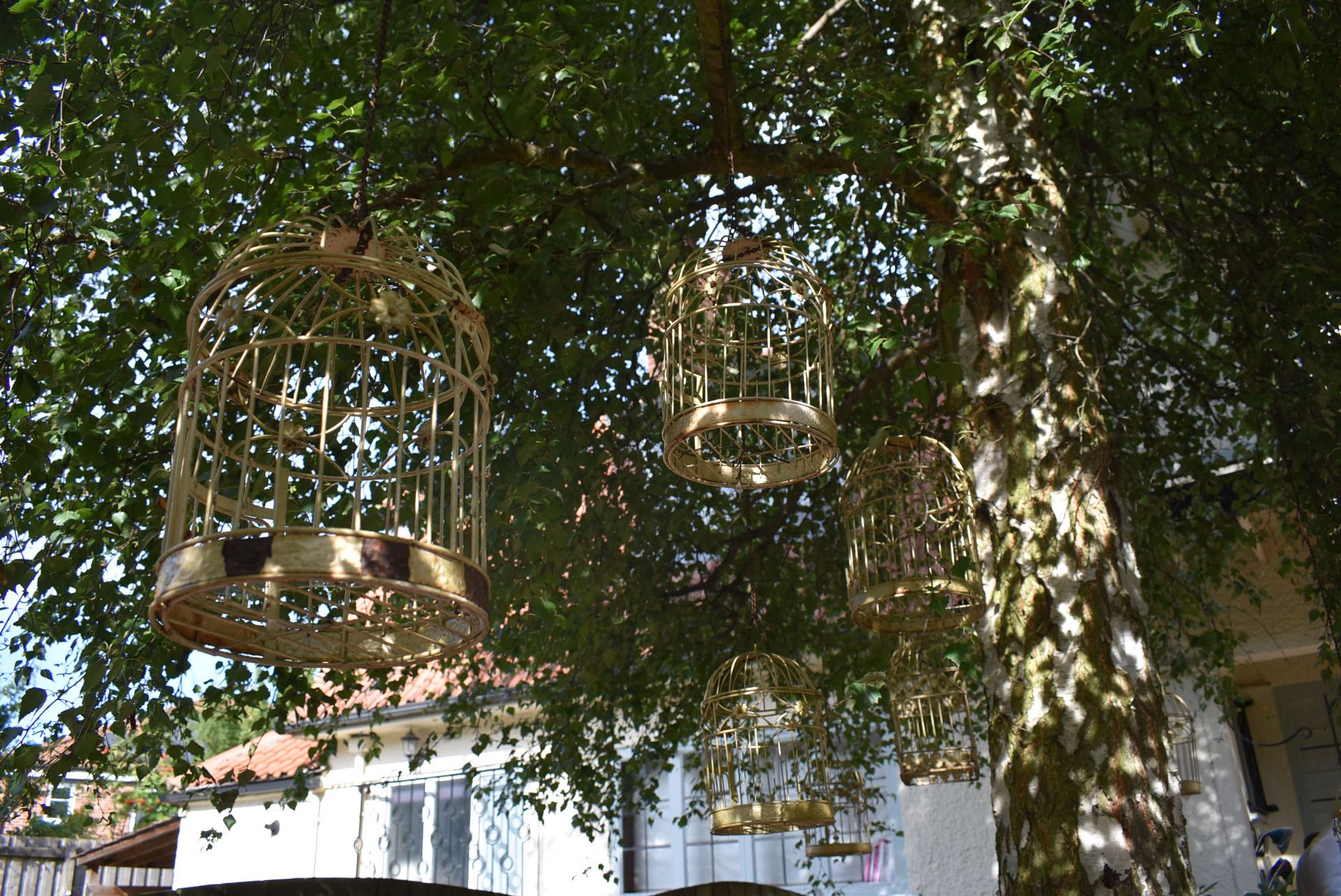 *Eight Hanging Bird Cages (1x square, 7x round)