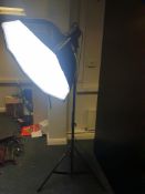 * Godox SL60W video light - on Walimex WT-806 Lampenstativ 256cm tripod