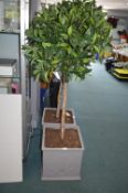 *Artificial Bay Tree in Planter