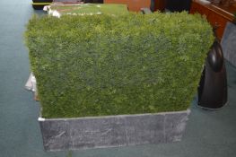 *Artificial Conifer Hedge in Planter