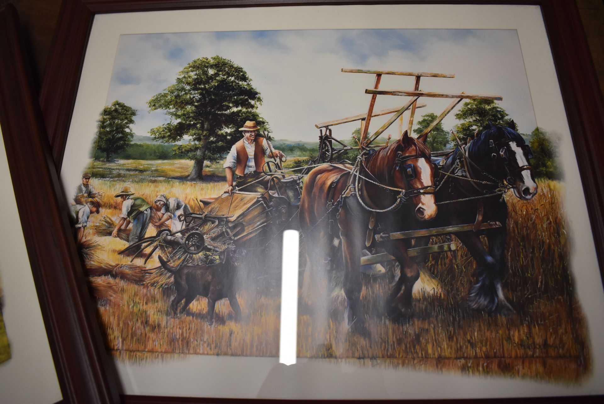 Three Framed Prints of Shire Horses - Image 4 of 4