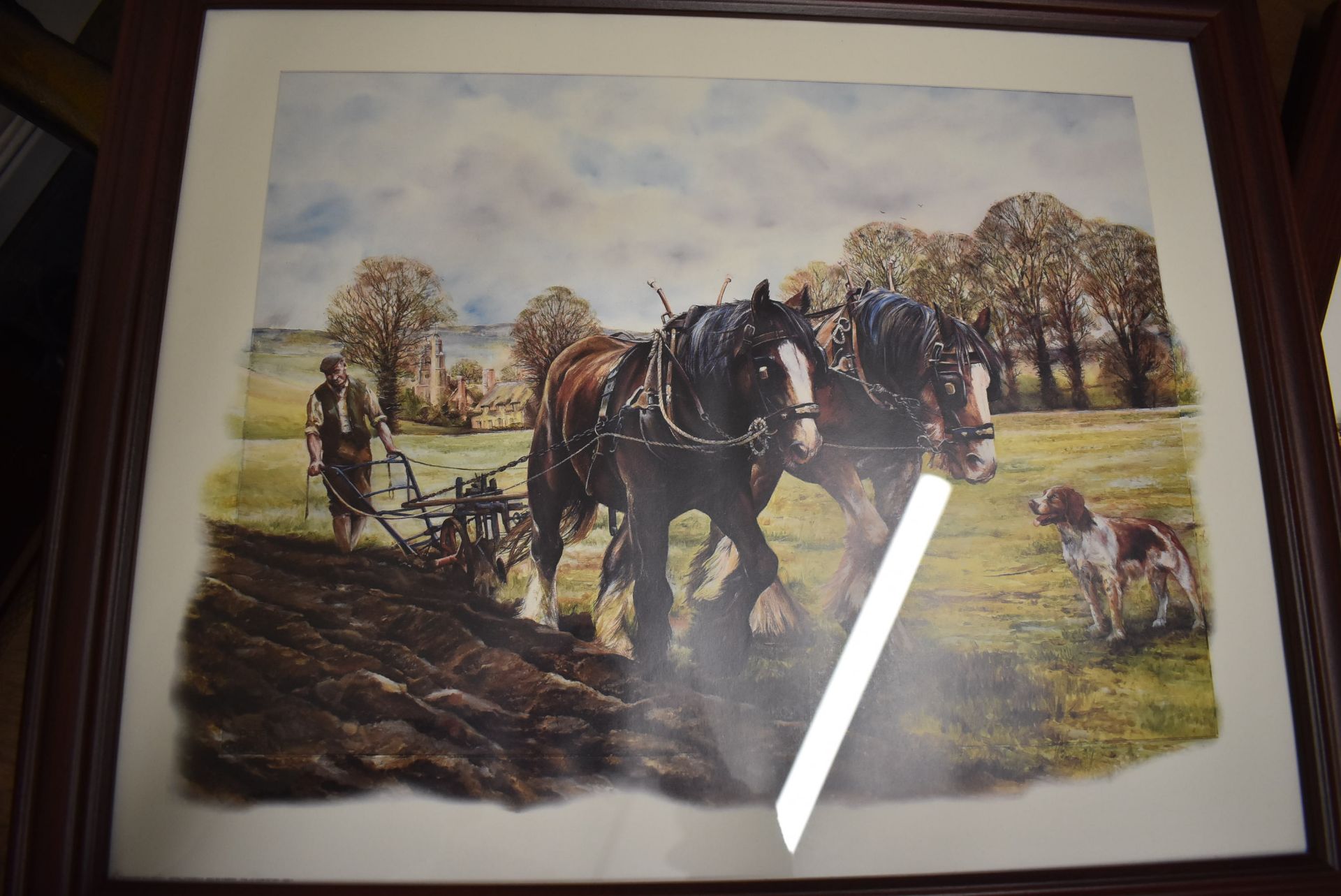 Three Framed Prints of Shire Horses - Image 3 of 4