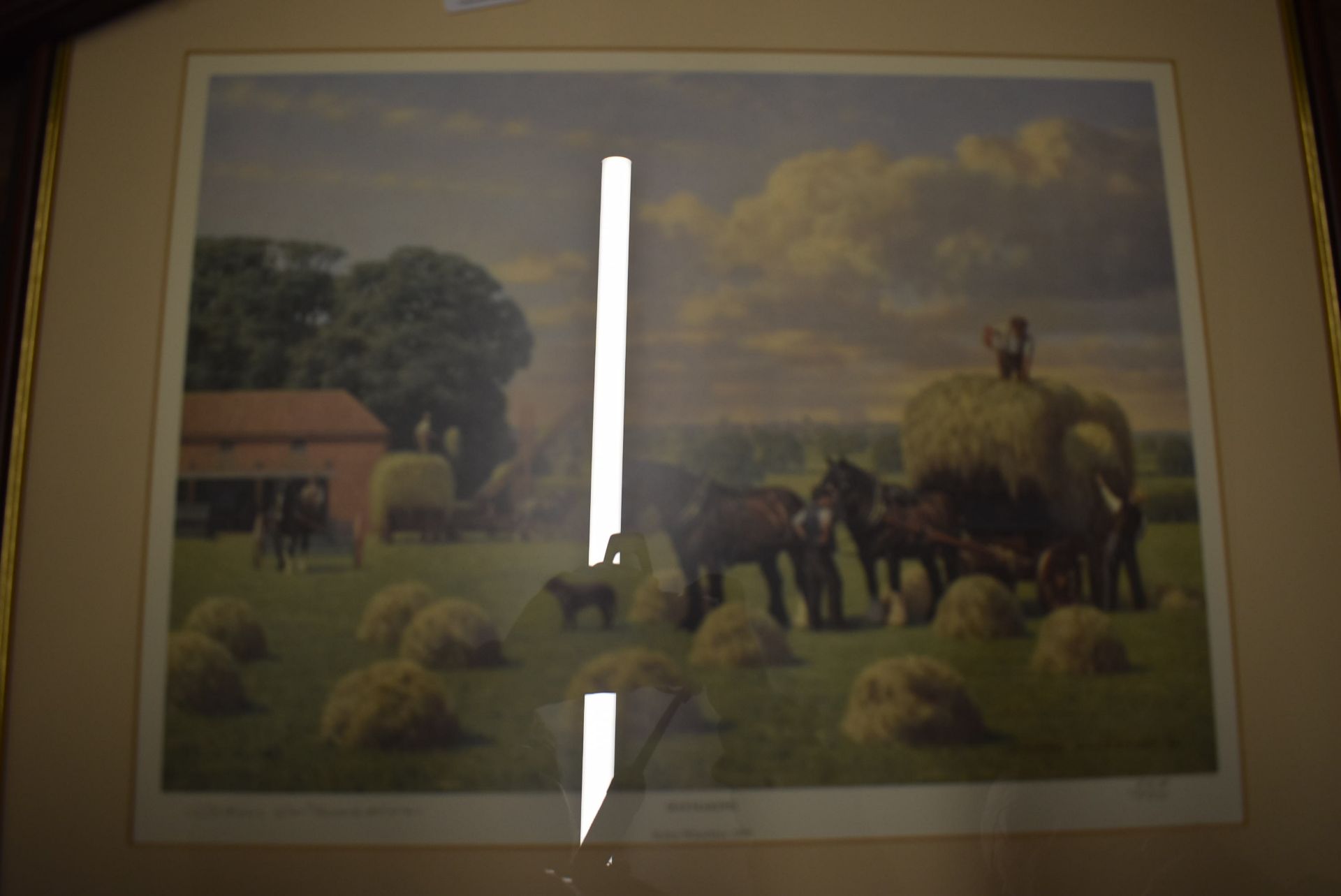 Three Framed Prints of Shire Horses - Image 2 of 4