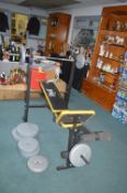 Everlast Gym Bench and Weights