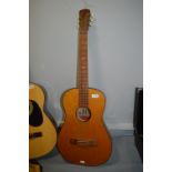 Hi Spot Acoustic Guitar