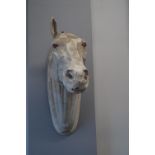 Life Size Model Horse's Head (AF)