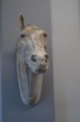 Life Size Model Horse's Head (AF)