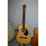 Classical Acoustic Guitar