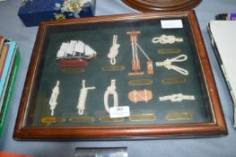 Ship's Knot Collection in Display Case