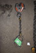 *Lifting Chain with Clamp