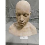 *Plaster Head Cast