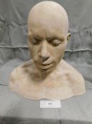 *Plaster Head Cast