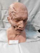 *Painted plaster bust of David Willetts in make up for "Phantom of the Opera"