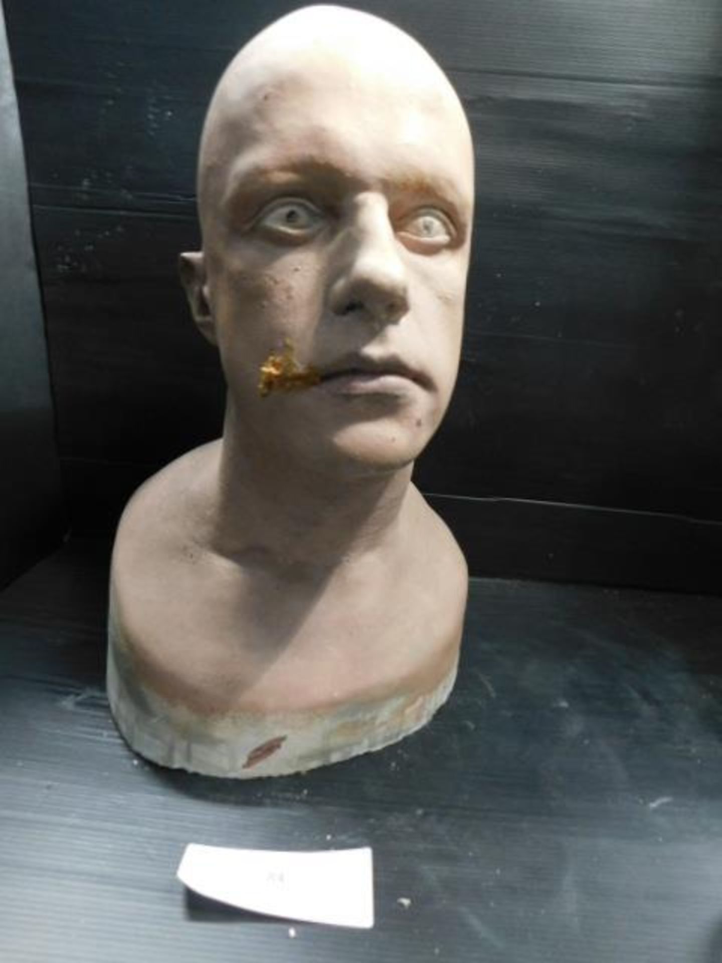 * Painted Head Cast