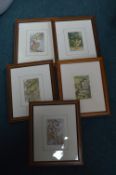 Five Framed Fairy Prints