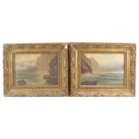 B. Baueh Haim? (20thC School). Rough Seas and cliffs with wildlife, oil on board, signed, pair, 25cm