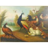 After Marmaduke Cradock. Peacocks and hens by a river, oil on canvas, in an elaborate gilt frame,