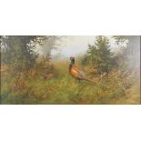 James Wright (20thC School). Pheasants and grouse in the woodland, oil on canvas, signed, 50cm x