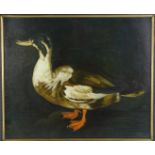Dutch School (20thC School). A standing duck, oil on canvas, bears indistinct signature verso,