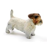 A 20thC cold painted bronze model of a terrier, possibly previously mounted, 8cm wide.