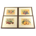 The Foliage Collection. To include Curacao oranges, strawberries, etc., prints 15cm by 21cm. (4)