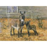 David Shepherd (1931-2017). Donkey Talk, artist signed limited edition print, 539/1500, 18cm x 25cm