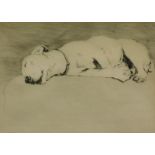 Cecil Aldin (1870-1935). Flop, artist signed and numbered etching, 24/150, 17cm x 25cm. Label verso.