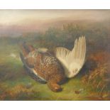 After Abel Hold (1815-1896). Dead grouse, oil on canvas, signed, 42cm x 50cm. After the original in