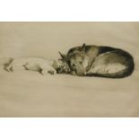 Cecil Aldin (1870-1935). Inseparable, artist signed and numbered etching, 59/100, 22cm x 30cm. Two l