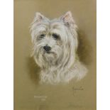 Marjorie Cox (1915-2003). Bonnie 1972, Highland Terrier, pastel, signed and titled, 46cm x 35cm.
