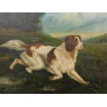 19thC British School. Sporting dogs, oil on board - pair, 29cm x 39cm.