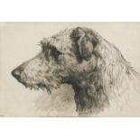 Herbert Thomas Dicksee (1862-1942). Scottish Deerhound, artist signed etching, 17.5cm x 24cm Label v