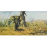 David Shepherd (1931-2017). The Land of Baoba Trees, artist signed limited edition print, 110/1100,