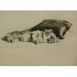 Cecil Aldin (1870-1935). Susan the Pekingese, artist signed and numbered etching, 27/100, 21cm x 30c