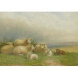 William Henry Lewis (1817-1879). Cattle and sheep in meadow, oil on canvas - pair, signed, 16cm x 24