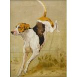 19thC/20thC British School. Hounds, oil on canvas - pair, 19.5cm x 14cm.