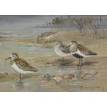 Roland Green (1890-1972). Sandpipers on a shoreline, watercolour, signed, 15cm x 25cm.