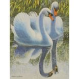 Gilmore. Swans, print, 22cm x 16cm, various others, after Tunnicliffe, framed set of four Players ci