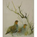 Mads Stage (1922-2004). Pheasant, watercolour and wash, signed, 26cm x 21cm, duck etc., (3).