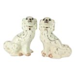 A pair of Staffordshire style spaniels, each on a white ground, with gilt highlights, 32cm high.