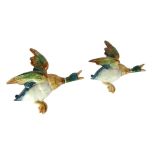 Two Beswick flying wall ducks, No 596, 25cm and 19cm wide.